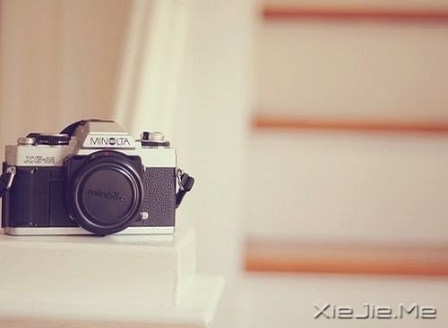 早安心语:生活,不求深刻,只求简单 (5)