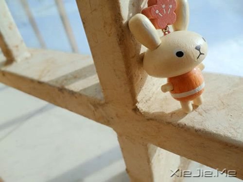 早安心语:幸福就像你身后的影子 (8)