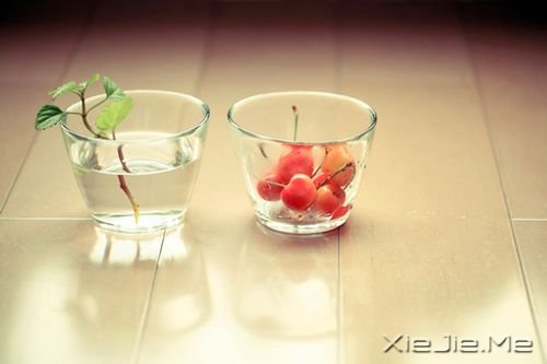 �簲�������̫�̣�ȥ����Щ����õ��� (5)