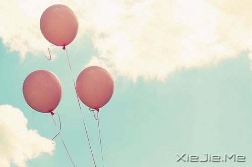 用欣赏的眼光看世界,生活处处呈鲜花美景