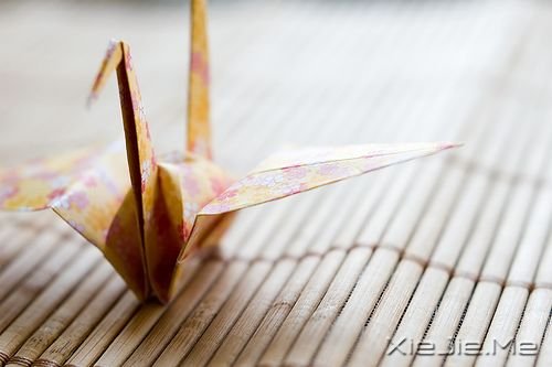 别人的怜悯,搏不来美好的未来 (6) 小清新图片 (6)