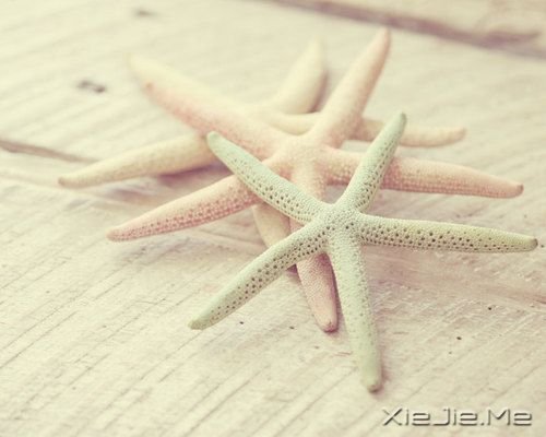 ˯�����տ��ϣ���ʹ��ɥ��Ҳ���泯���� (9)