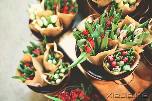 晚安心语:总有一扇门为梦想而开 (4)