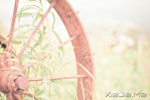 英文心语:无需等待,没有比当下更好的时间 (9)