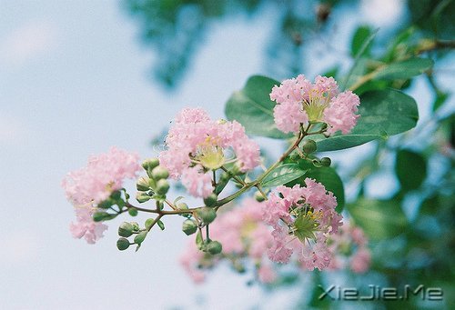 请始终向着最好的方向去努力