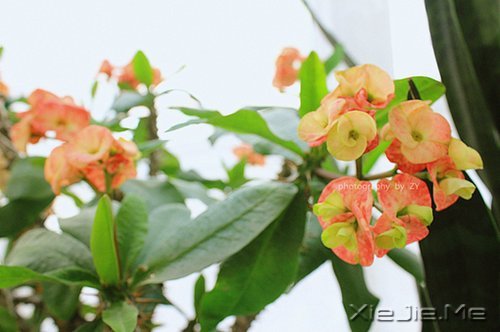 24��26��Ҫ֪����44����