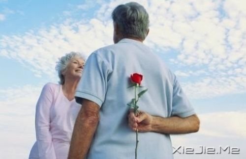 �������ף��������ף���������ϧ (15)