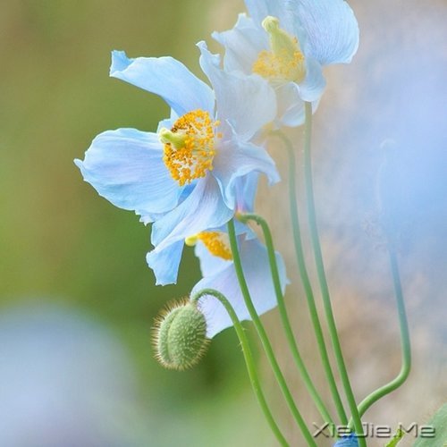 生活的九大智慧 (4)