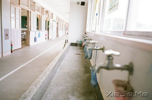 ���ڱ�ҵ��20�׸����Ƽ� (7)