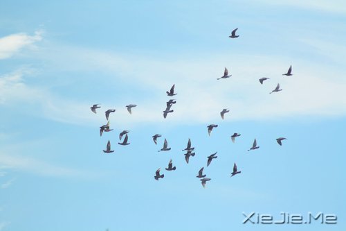 人生路上的10个残酷现实,越早明白越早成长