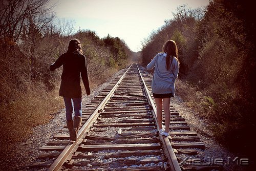 ֪����ѡ�����������������