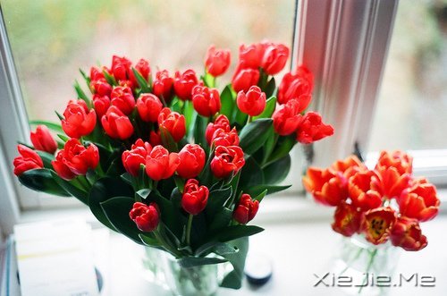 经典语录:输什么也不能输了心情 (7)