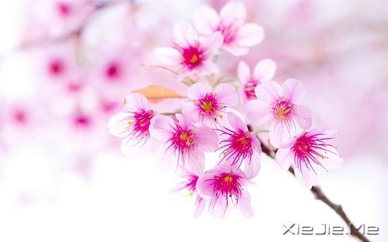 文字:要少做的十件事 (7)