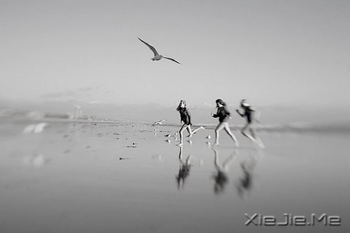 文字:青春,是一本太仓促的书 (2)