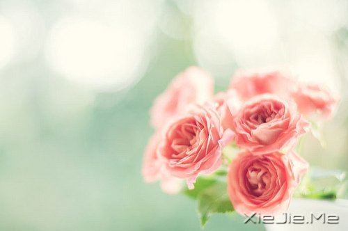 文字:30个改变心情的小点子