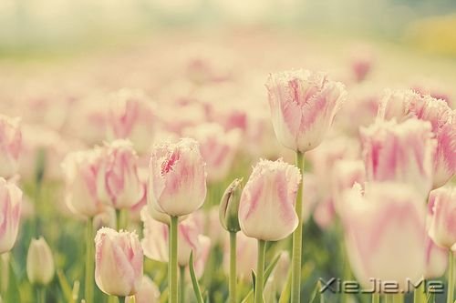 豆瓣读书超1000后的体会