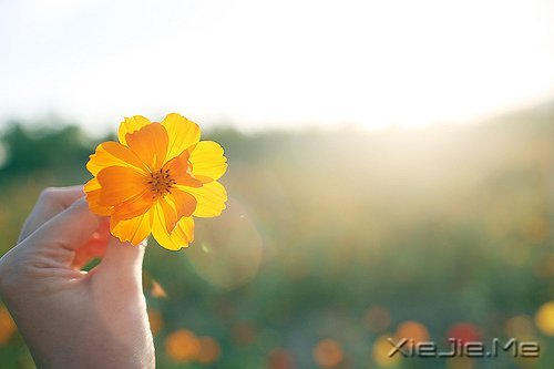 Ŭ��ѡ��ȥ���Լ�ϲ��������