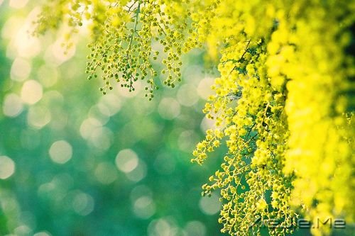 ���ǿ��ʱ�������� (2)