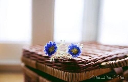 安静,一种淡淡的祥和 (10)